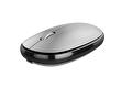 Pusat Business Pro Kablosuz Mouse - Gümüş 23028